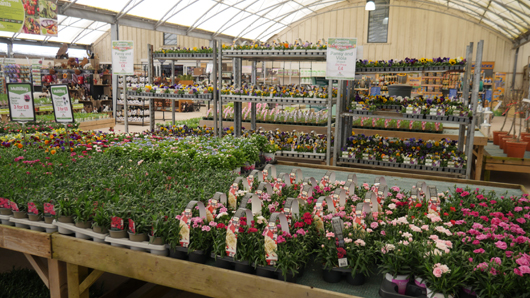 BGC Rugby Opening GTN150325 024.jpg