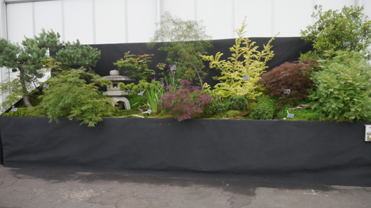 BBC GW Live 2025 Press Day GTN110625 031.jpg