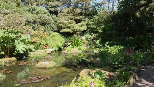 Blue Diamond Bridgmere Garden Opening GTN090525 072.jpg