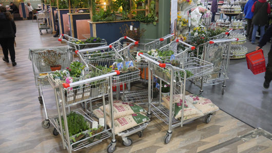 BGC Rugby Opening GTN150325 127.jpg