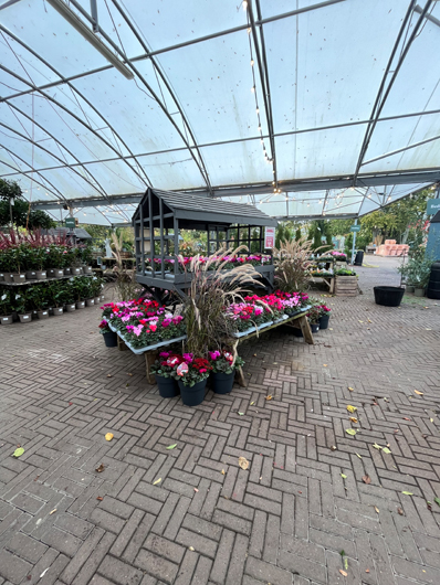 Ransoms Jersey - Oct 2025 GTN-HG201025 024.jpg