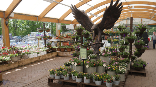 Blue Diamond Bridgmere Garden Opening GTN090525 036.jpg