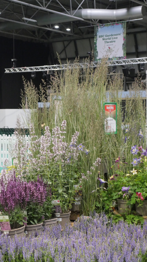 BBC GW Live 2025 Press Day GTN110625 073.jpg