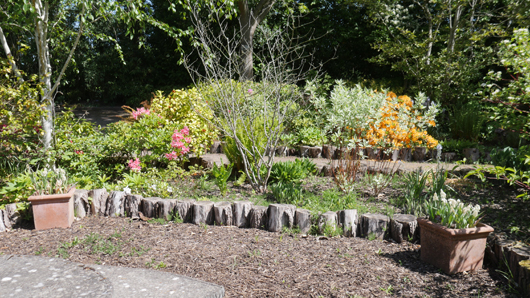 Blue Diamond Bridgmere Garden Opening GTN090525 066.jpg