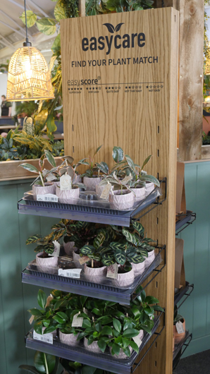 BGC Rugby Opening GTN150325 048.jpg