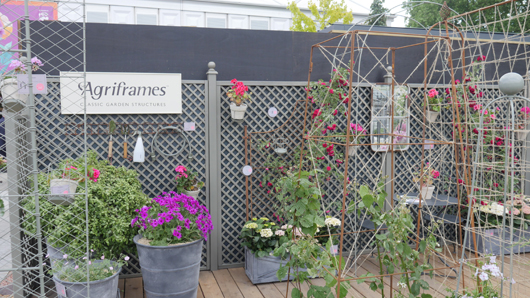 Chelsea 2025 Press Day GTN190525 096.jpg