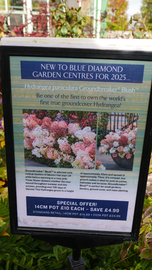 BD Blackdown GTN221025 078.jpg