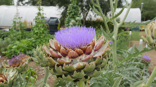 Mr Fothergills Press Day 2024 GTN070824 036.jpg