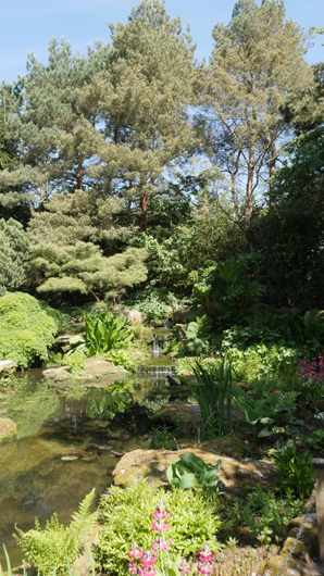 Blue Diamond Bridgmere Garden Opening GTN090525 073.jpg