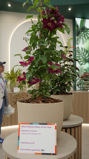 Chelsea 2025 Press Day GTN190525 114.jpg