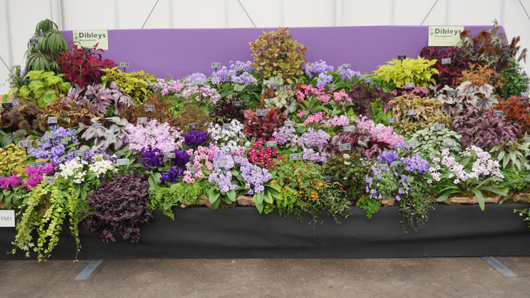 BBC GW Live 2025 Press Day GTN110625 038.jpg