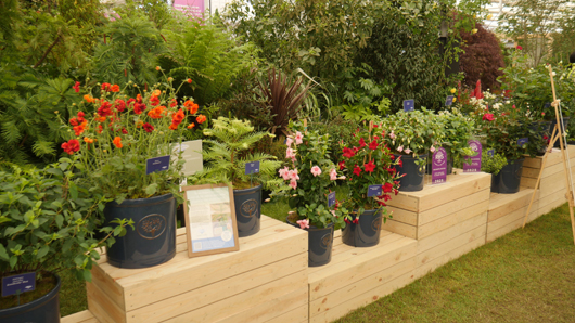 Chelsea 2025 Press Day GTN190525 144.jpg