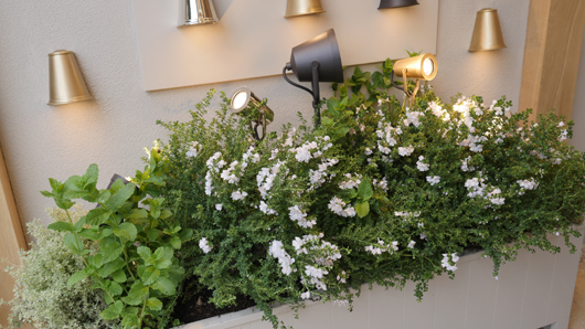 Chelsea 2025 Press Day GTN190525 056.jpg