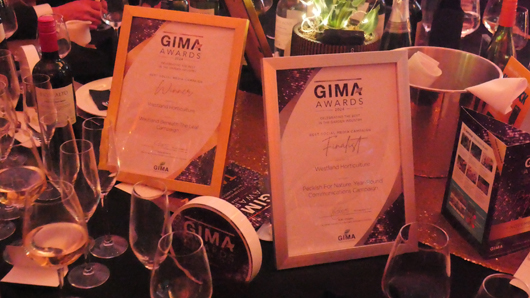 GIMA Awards 2024 GTN071124 014.jpg