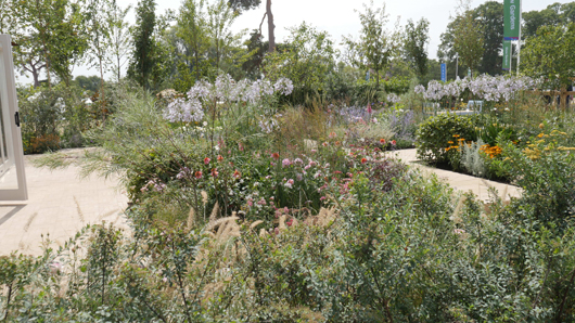RHS Sandringham 2026 GTN230726 038.jpg