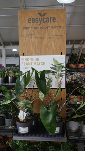 BGC Rugby Opening GTN150325 049.jpg