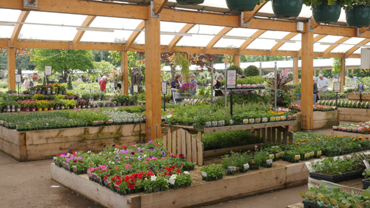 Blue Diamond Bridgmere Garden Opening GTN090525 172.jpg