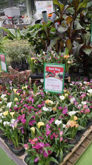 BBC GW Live 2025 Press Day GTN110625 072.jpg