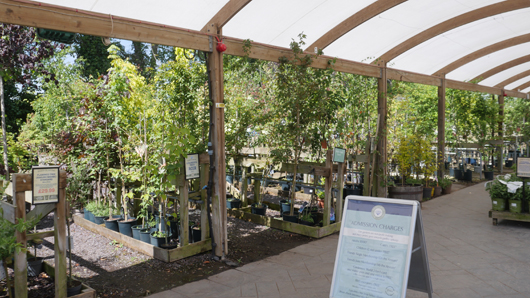 Blue Diamond Bridgmere Garden Opening GTN090525 095.jpg