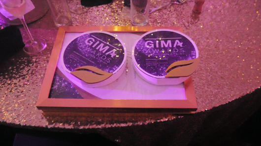 GIMA Awards 2024 GTN081124 092.jpg