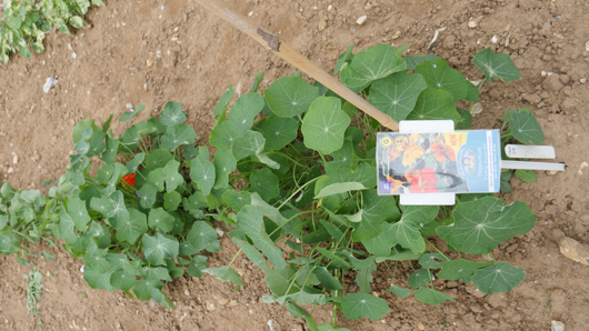 Mr Fothergills Press Day 2024 GTN070824 021.jpg