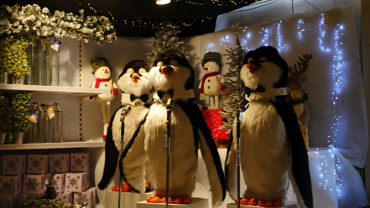 BD Blackdown GTN221025 036.jpg