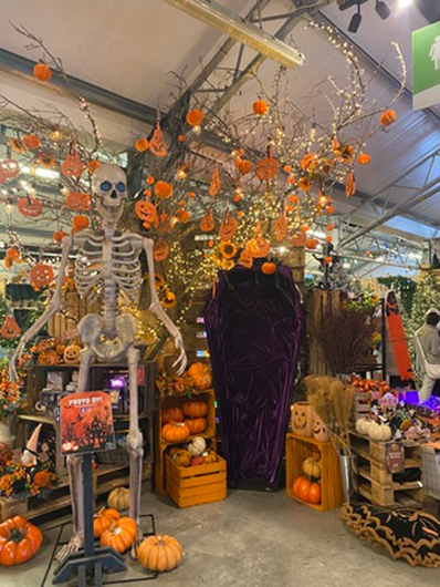 Summerhill - Oct 2025 GTN221025 075.jpg