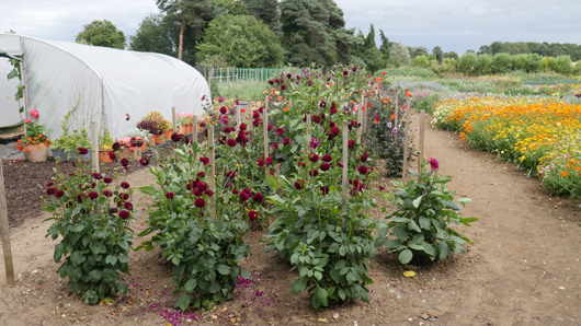 Mr Fothergills Press Day 2024 GTN070824 013.jpg