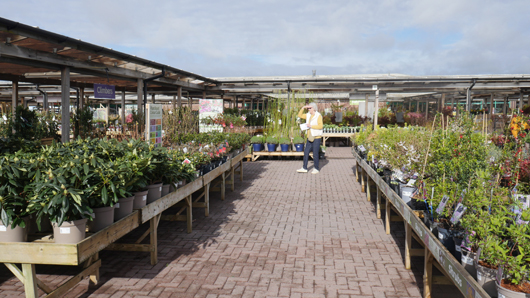 BGC Grantham Opening GTN030426 048.jpg