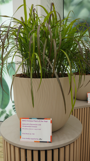 Chelsea 2025 Press Day GTN190525 100.jpg