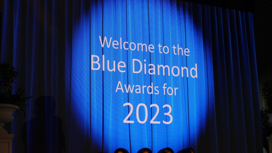 Blue Diamond Awards 2024 GTN070324 077.jpg