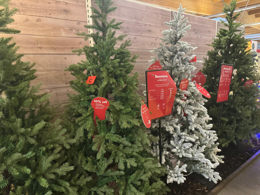 Dobbies Peterborough Christmas 2026 GTN151026 038.jpg