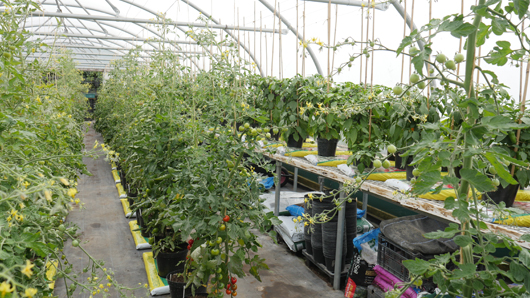 Mr Fothergills Press Day 2024 GTN070824 010.jpg