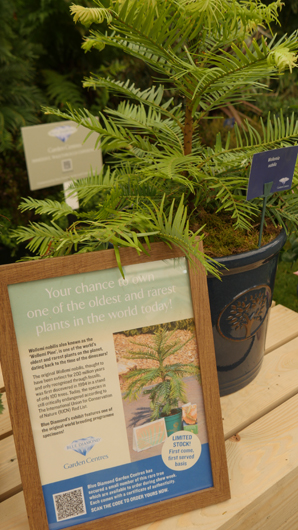 Chelsea 2025 Press Day GTN190525 145.jpg