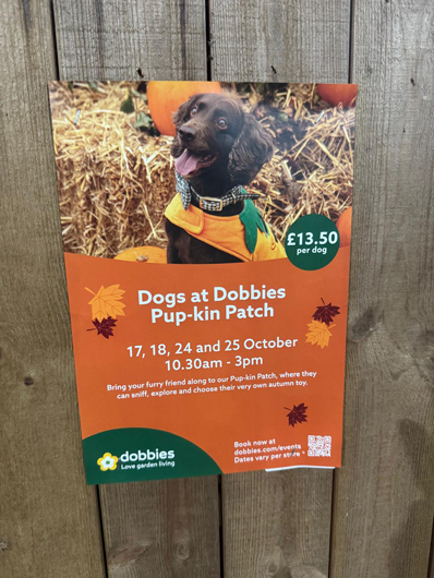 Dobbies Peterborough Christmas 2026 GTN151026 066.jpg