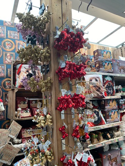 Summerhill - Oct 2025 GTN221025 030.jpg