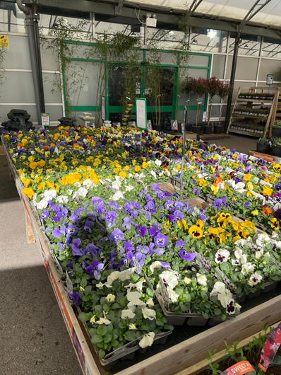 BGC Havant Opening GTN160325 028.jpg