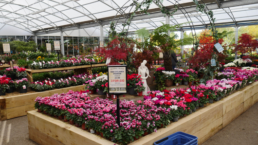 BD Blackdown GTN221025 075.jpg