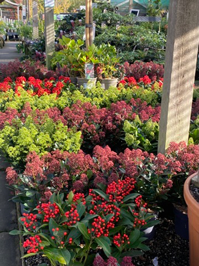 Summerhill - Oct 2025 GTN221025 104.jpg