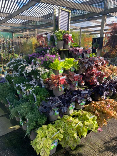 Summerhill - Oct 2025 GTN221025 106.jpg