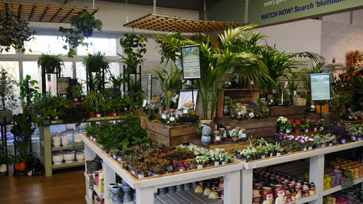 BD Blackdown GTN221025 011.jpg