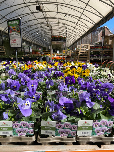 BGC Havant Opening GTN160325 027.jpg