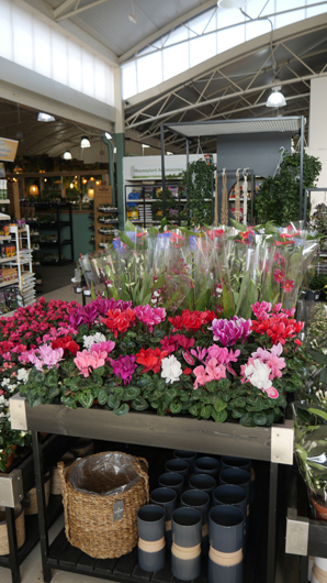 BGC Rugby Opening GTN150325 044.jpg