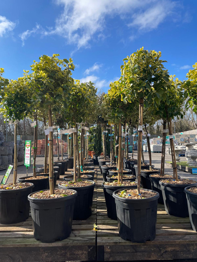 BGC Havant Opening GTN160325 058.jpg