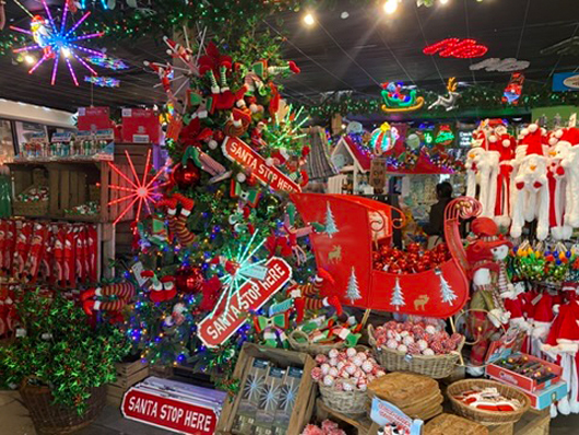 Summerhill - Oct 2025 GTN221025 037.jpg