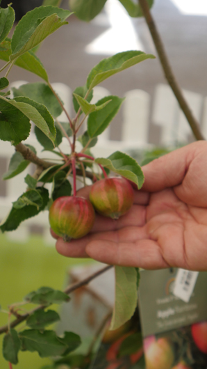 BBC GW Live 2025 Press Day GTN110625 045.jpg