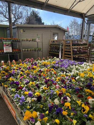 BGC Havant Opening GTN160325 029.jpg