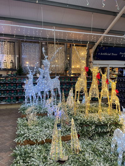 Ransoms Jersey - Oct 2025 GTN-HG201025 010.jpg