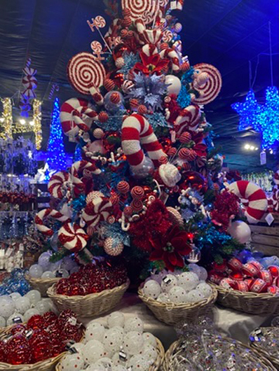 Summerhill - Oct 2025 GTN221025 064.jpg