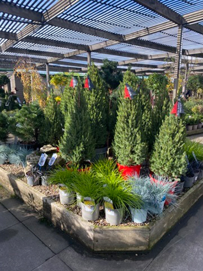 Summerhill - Oct 2025 GTN221025 098.jpg